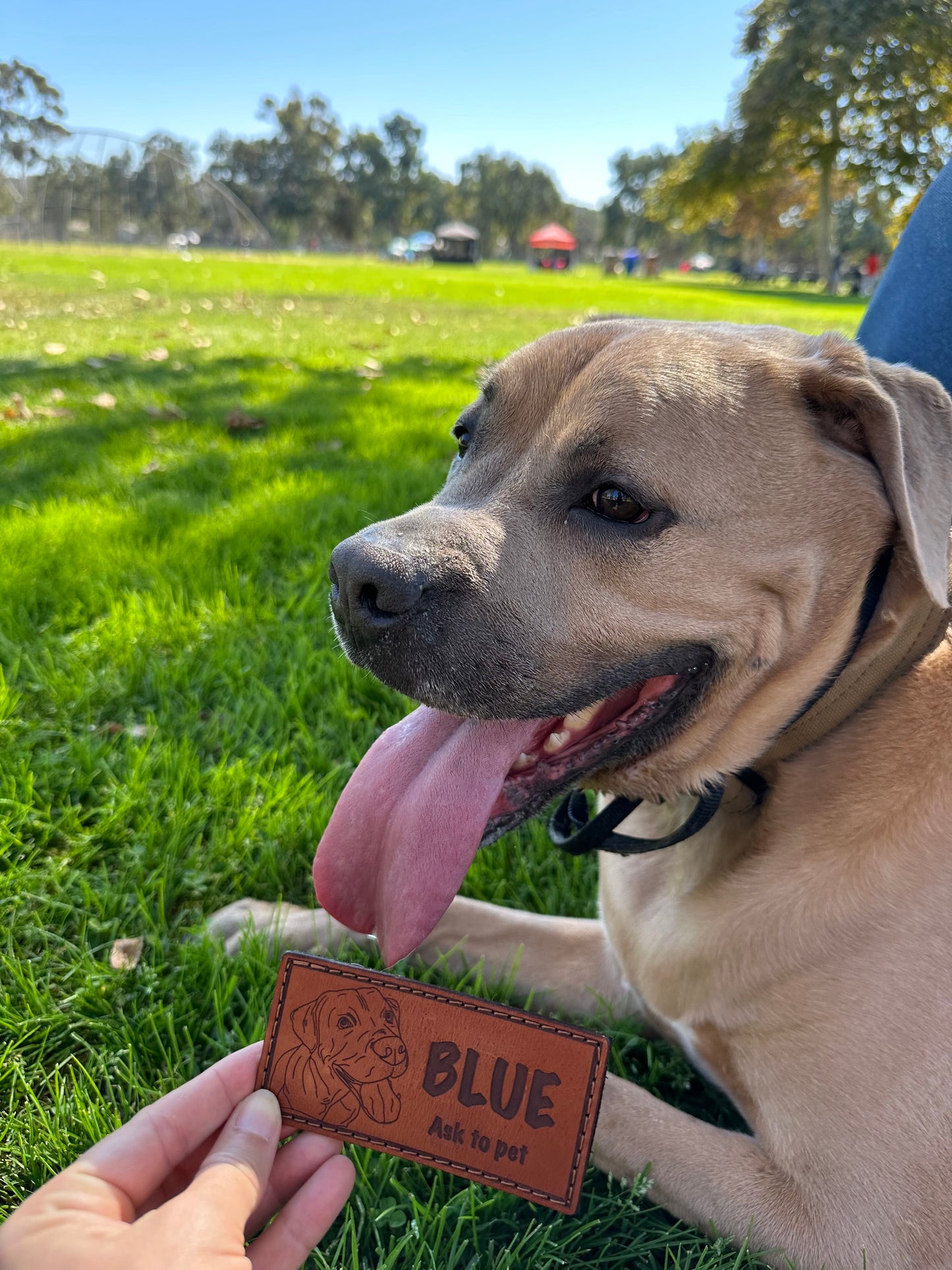 Pup Profile Collab: Leather Dog Name Tags