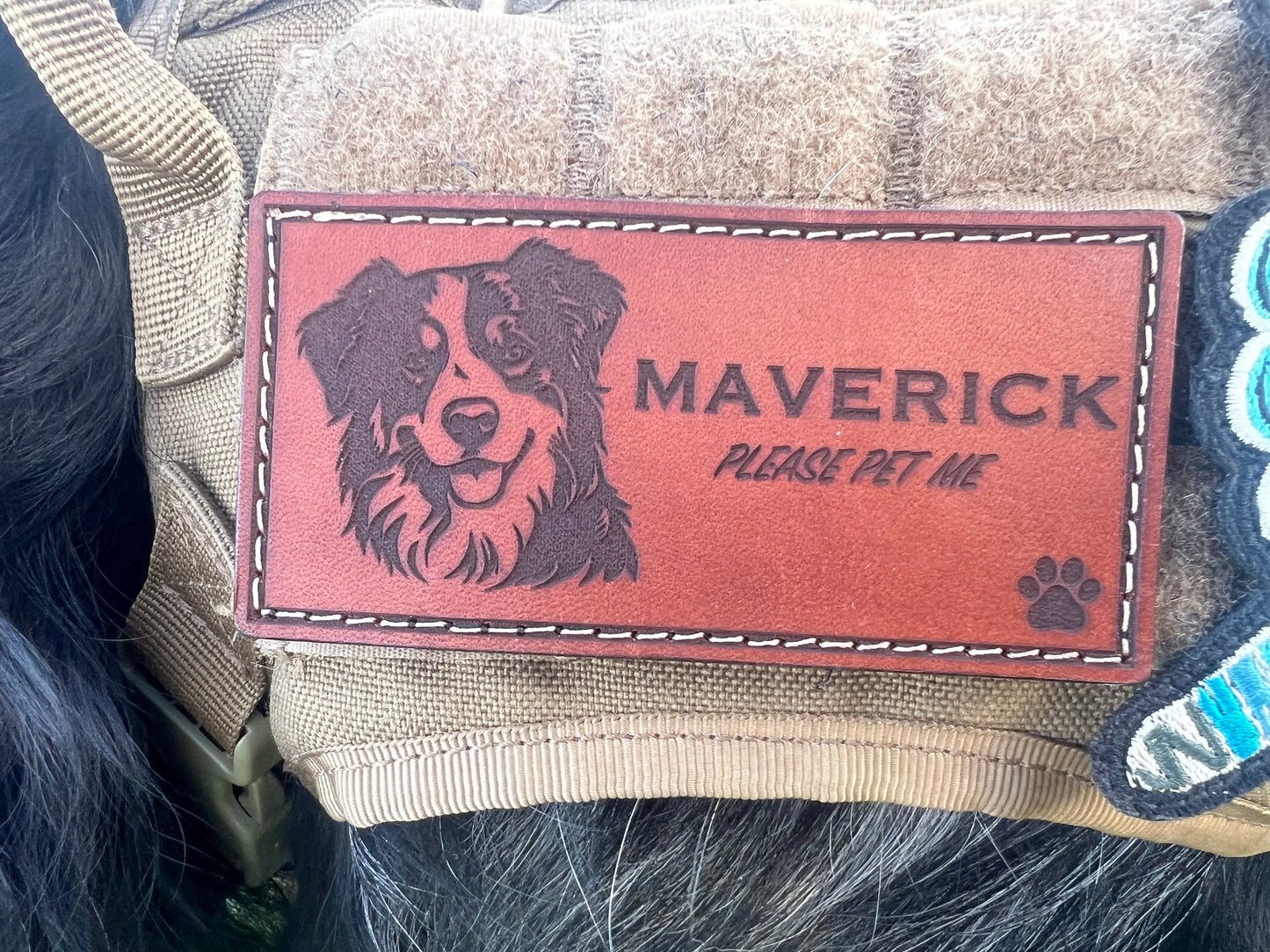 Pup Profile Collab: Leather Dog Name Tags