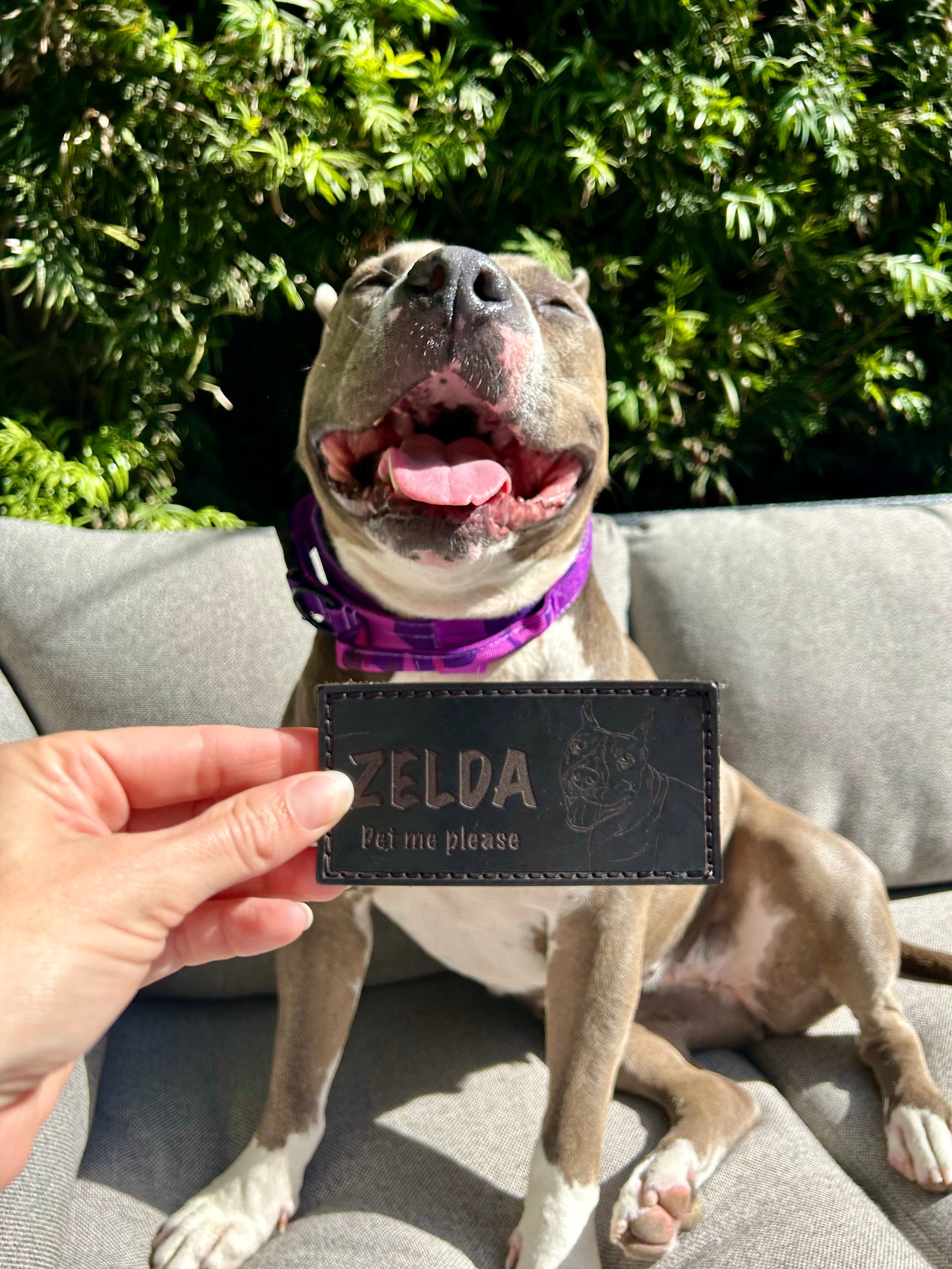 Pup Profile Collab: Leather Dog Name Tags